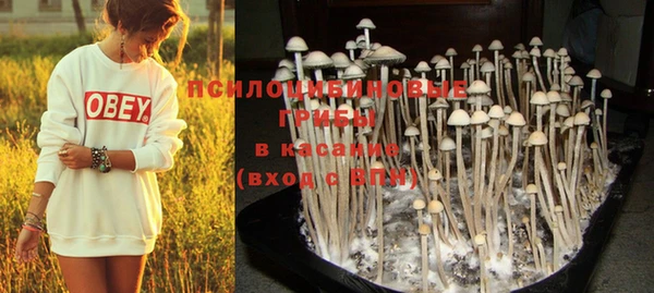 MESCALINE Михайлов